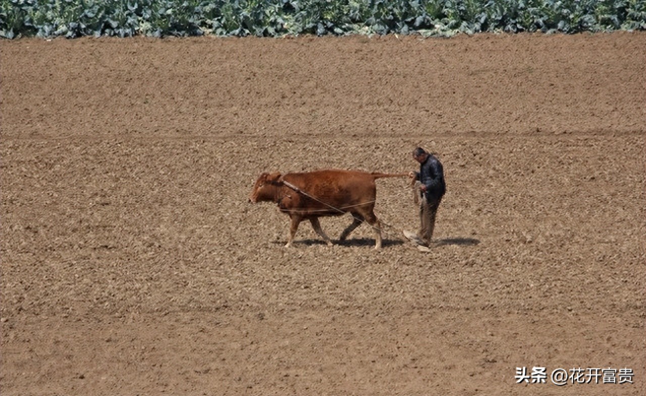公粮贡献工业化_72岁农民养老金_2026年农村养老保险