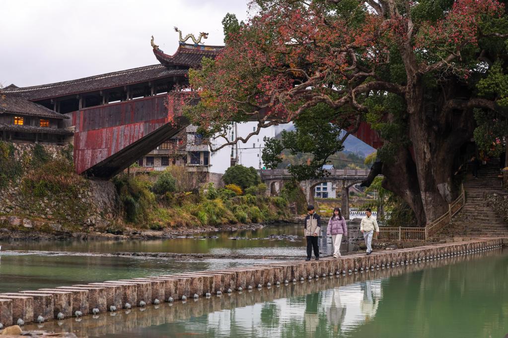 中国木拱桥非遗保护_木质拱桥模型_浙江木拱廊桥保护传承
