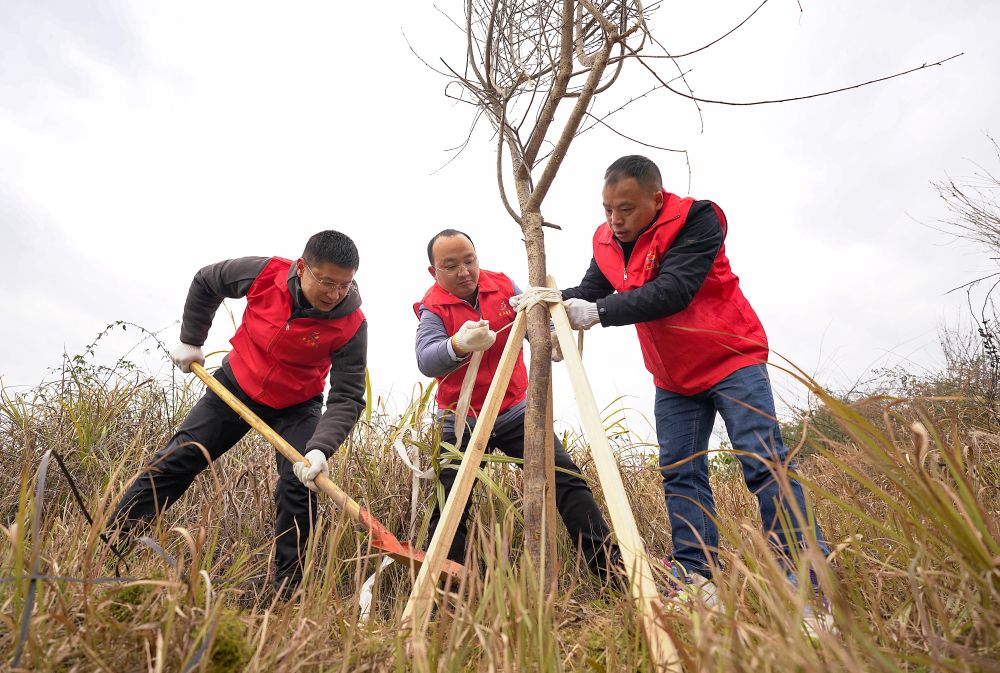 贵州生态环境保护改革举措_贵阳生态文明论坛2026_贵州生态文明制度体系建设