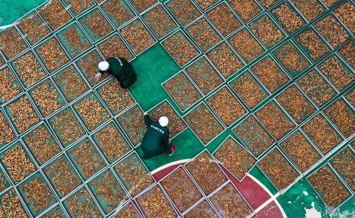 贵州生态环境保护改革举措_贵阳生态文明论坛2026_贵州生态文明制度体系建设