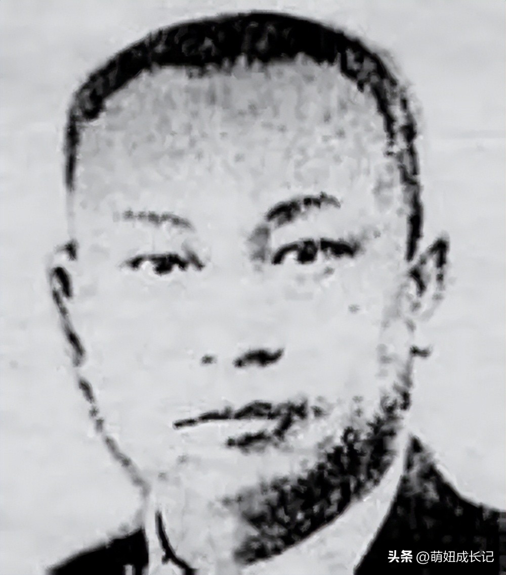 民国十三太保介绍_蒋介石的十三太保名单_十三太保历史