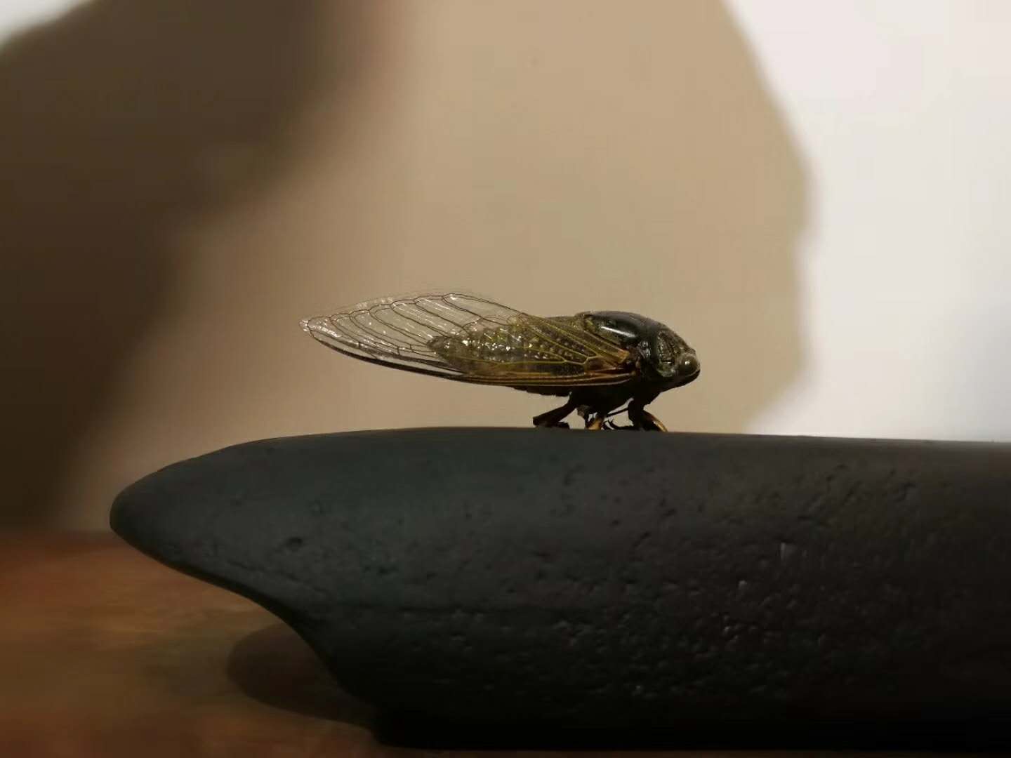 宋砚制作工艺_宋砚收藏家戴云江_端砚的产地是哪里?