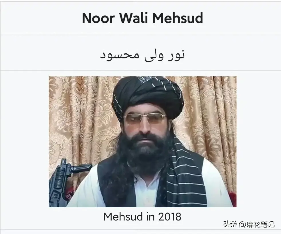 巴基斯坦塔利班头目马哈苏德_巴基斯坦空袭喀布尔_巴基斯坦塔利班打击行动