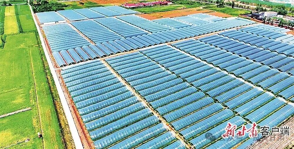 平凉市2025年经济社会发展情况_崆峒山生态旅游示范区2026棚改_平凉市产业转型升级与招商引资策略