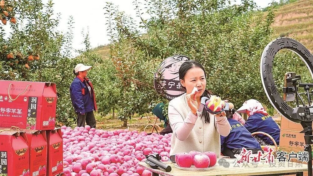 平凉市2025年经济社会发展情况_平凉市产业转型升级与招商引资策略_崆峒山生态旅游示范区2026棚改