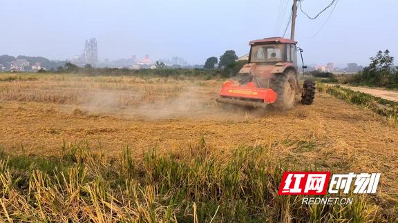 自动捡拾秸秆打包机_半喂入式水稻收割机 秸秆粉碎还田 秸秆打捆离田