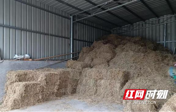 半喂入式水稻收割机 秸秆粉碎还田 秸秆打捆离田_自动捡拾秸秆打包机