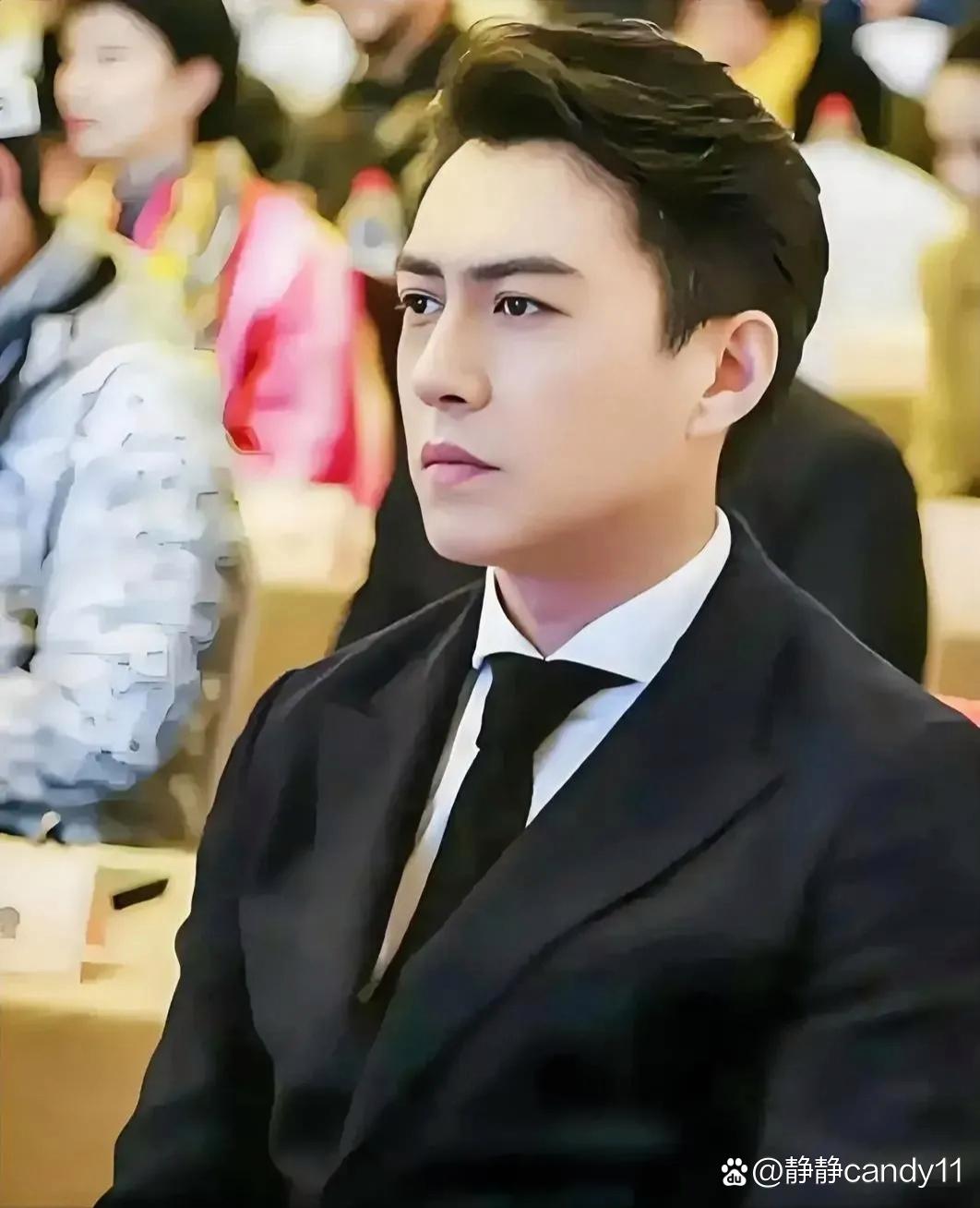 靳东为什么要说你大爷_遗嘱公证难题_靳东两会提案
