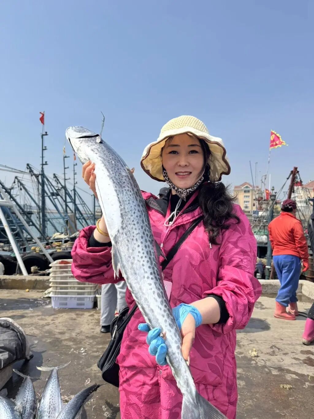 海中洲海鲜城 渔社_青岛伏季休渔期 积米崖码头 海鲜交易