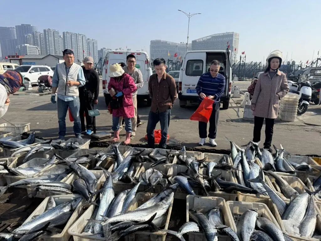 海中洲海鲜城 渔社_青岛伏季休渔期 积米崖码头 海鲜交易