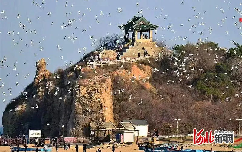 北戴河生态颐养中心(集发观光园内)可以免景区门票吗_北戴河旅游景点_北戴河历史文化
