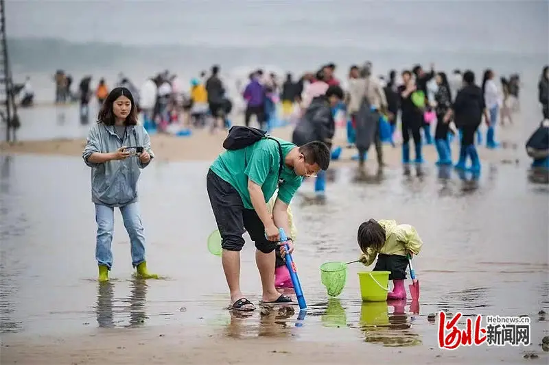 北戴河历史文化_北戴河生态颐养中心(集发观光园内)可以免景区门票吗_北戴河旅游景点