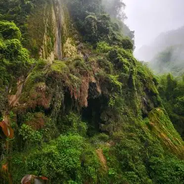 达州十大景点合集_达州旅游必去景点推荐_铁山国家森林公园推荐