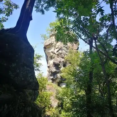 达州十大景点合集_铁山国家森林公园推荐_达州旅游必去景点推荐