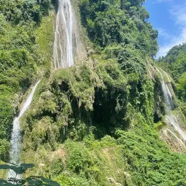 铁山国家森林公园推荐_达州十大景点合集_达州旅游必去景点推荐