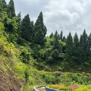 达州十大景点合集_铁山国家森林公园推荐_达州旅游必去景点推荐