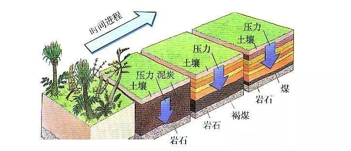 煤的质量指标_煤炭工业分析_挥发分是什么