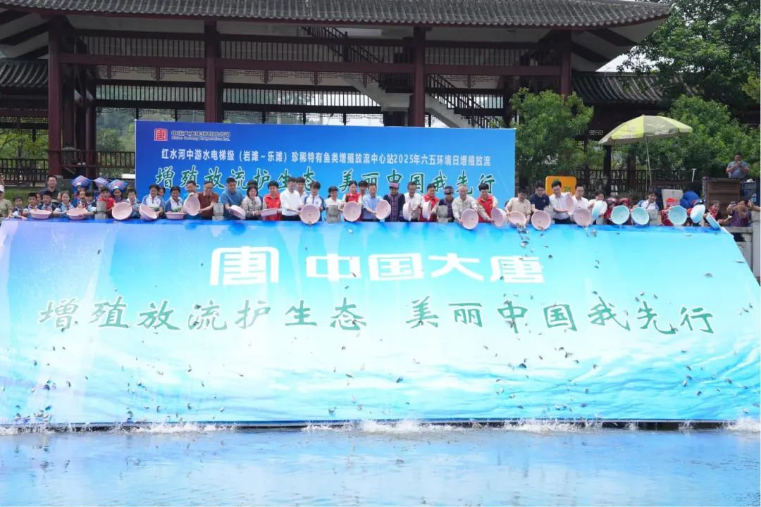 西津水力发电厂ESG奖项获奖_桂冠电力ESG竞争力典范新自然经济_桂冠电力招股书