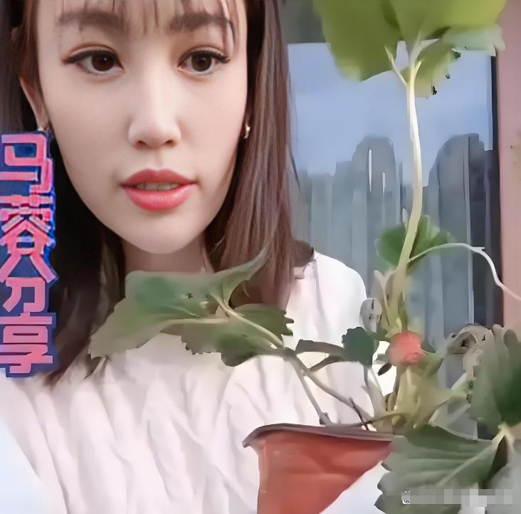 马蓉微博小号叫什么_王宝强马蓉离婚事件_王宝强马蓉感情始末