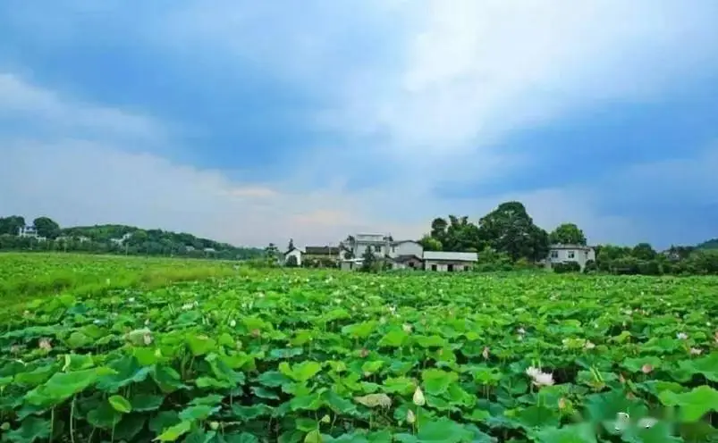 神农谷炎帝陵云阳山_株洲中国动力谷_株洲十大景点推荐