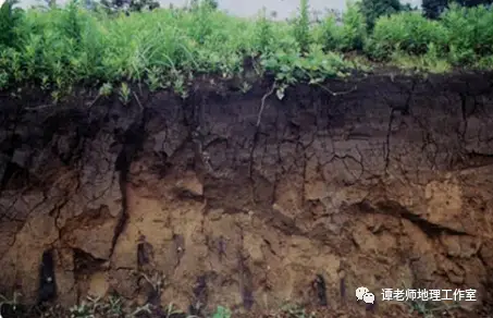 火山喷发类型_火山灰形成原因_海底火山生态系统