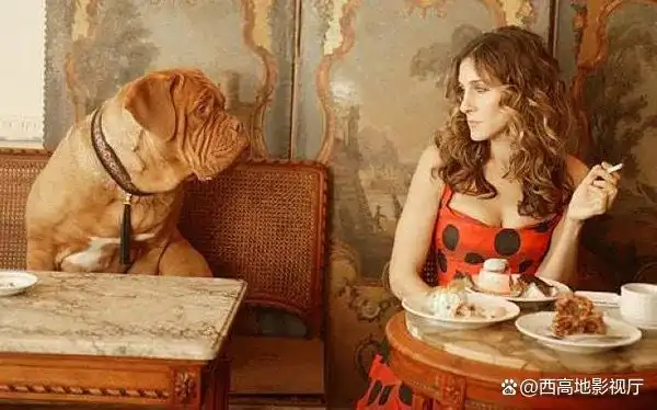 欲望都市 都市女性 生活 情感_都市女性 现实困境 追求_欲望都市电影版2萨曼莎结局