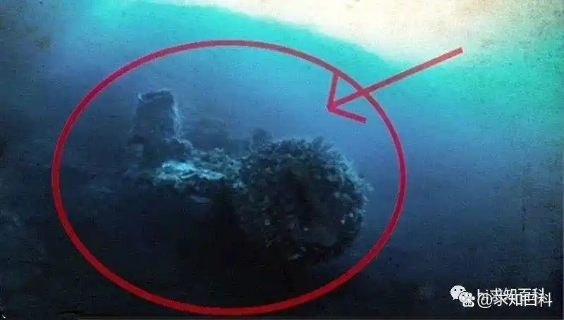 深海一万米神秘生物_未知地质构造发现_海底火山生态系统