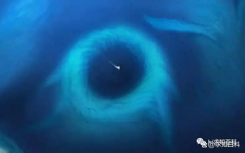 深海一万米神秘生物_海底火山生态系统_未知地质构造发现