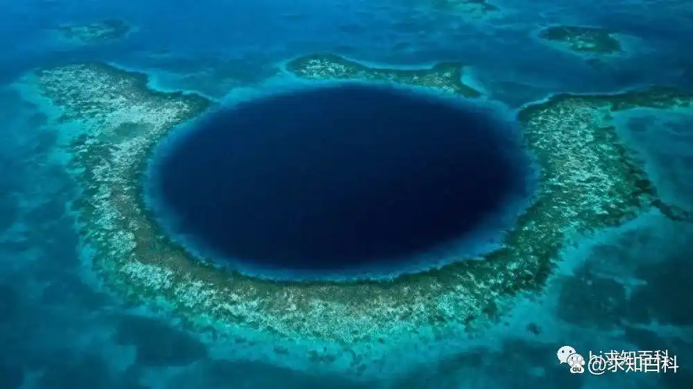未知地质构造发现_深海一万米神秘生物_海底火山生态系统