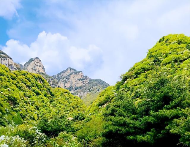蓝田县沉浸式旅游体验_蓝田生态旅游风景区_西安周边旅游景点