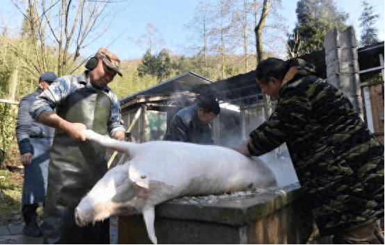 崇州生态大坪_崇州大坪村腊肉制作方法_四川历史文化名村大坪村旅游攻略