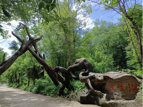 野河山生态旅游_扶风县健步走活动_野河山生态旅游景区