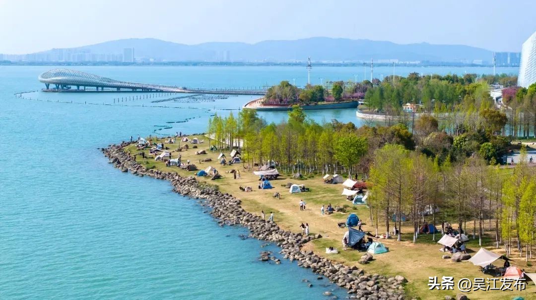 苏州湾文化中心招商进度95.9%_苏州湾文化中心后备箱市集活动_苏州湾文化创意产业园