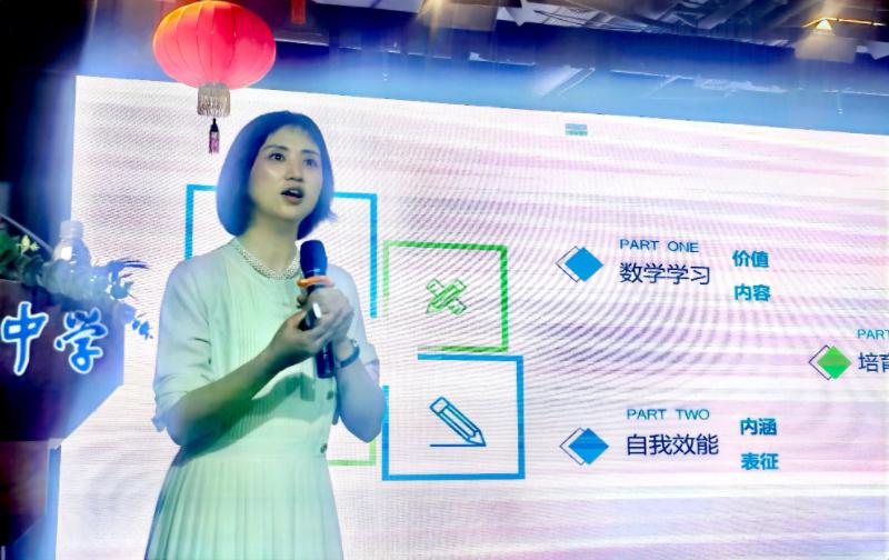 中小学高级教师丁丽讲座_数学学习自我效能培育指南_小学数学教师视频