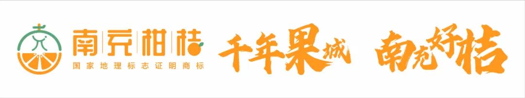 南充文旅融合发展战略_四川省南充市文化_南充巴蜀特色文化旅游示范区建设