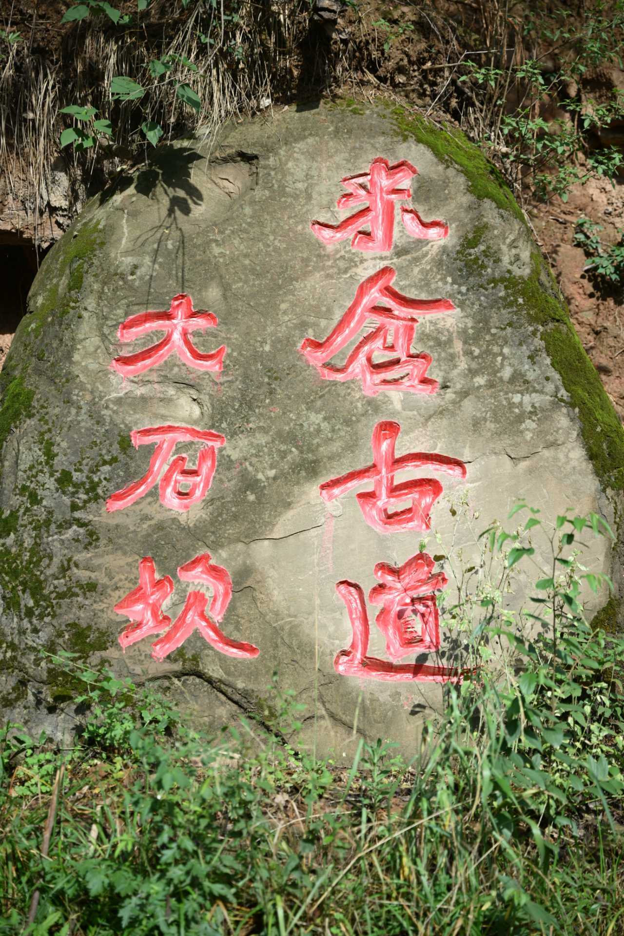 蜀道与诗礼文化学术研讨会_古蜀道遗址南充段调查工作_四川省南充市文化