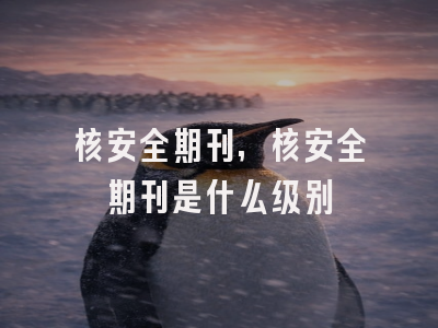 核安全期刊,核安全期刊是什么级别