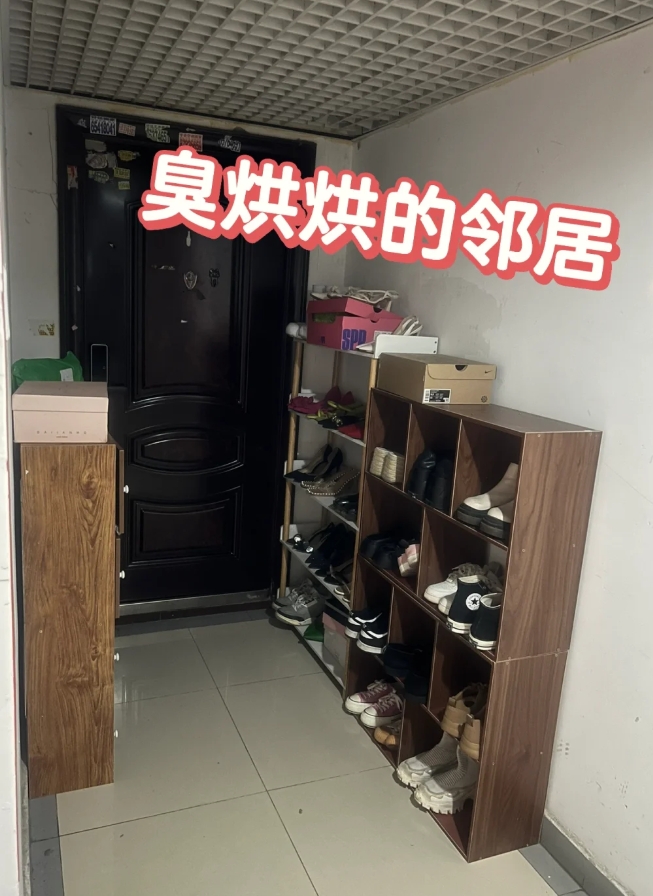 鞋柜占用公共区域_门口放鞋柜_自制收纳鞋子好方法图片