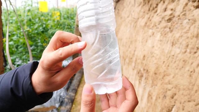 磷酸二氢钾真假辨别_磷酸二氢钾使用方法_乡村季风化肥真假辨别