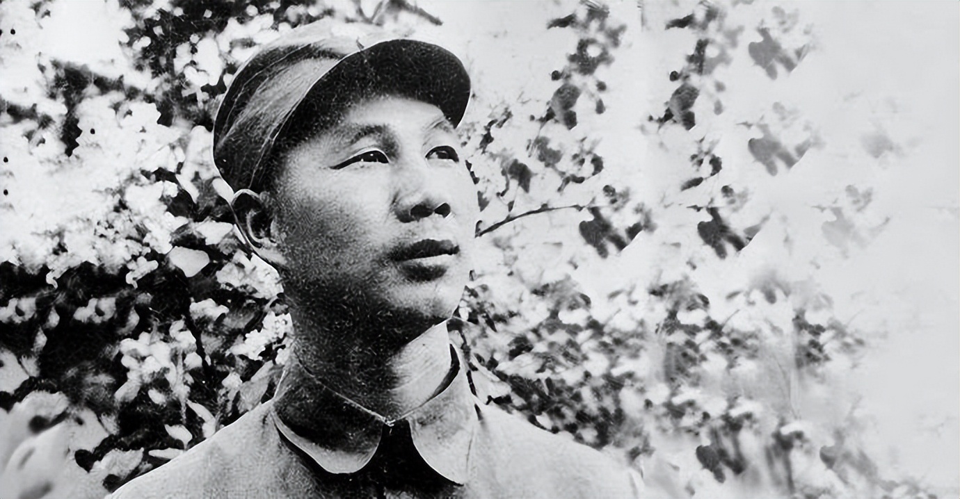 开国上将 军种建设 联合指挥_1955年开国上将礼服照片
