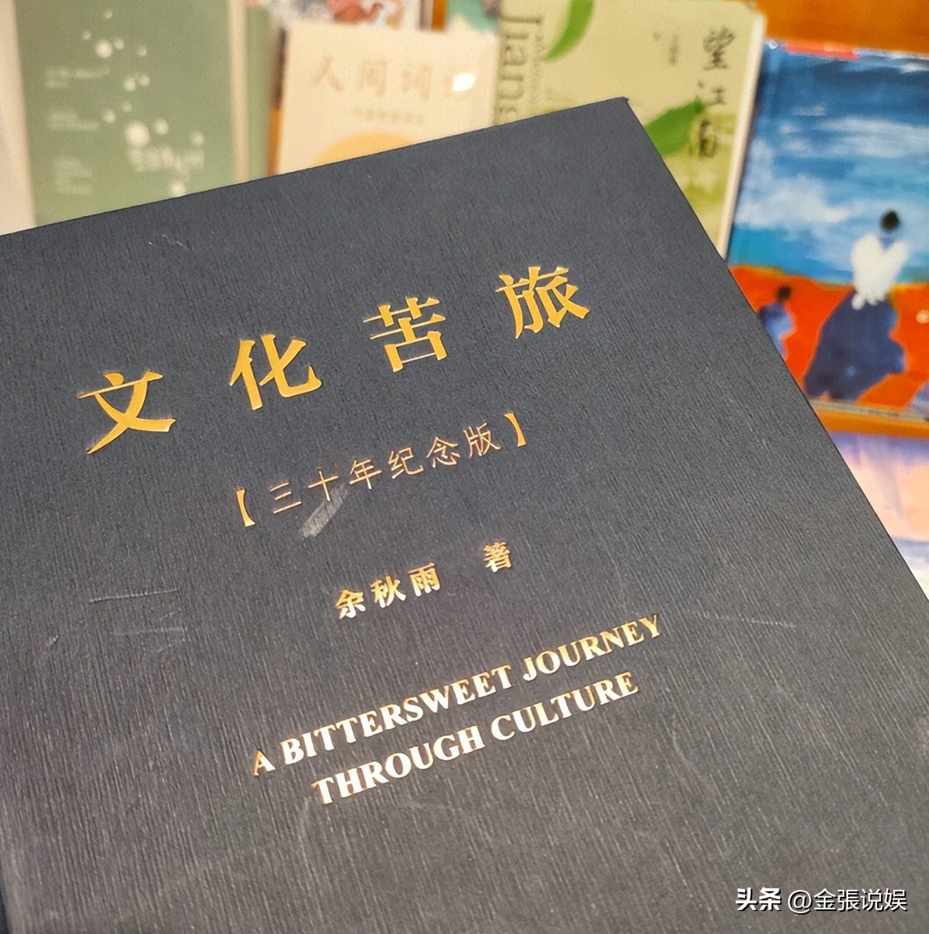 丁克夫妻晚年生活状态_马兰和余秋雨离婚了吗_余秋雨马兰丁克家庭33年