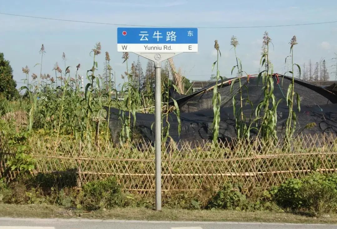 上海带牛字路名_上海牛字路名大全_上海东兰路属于哪个区