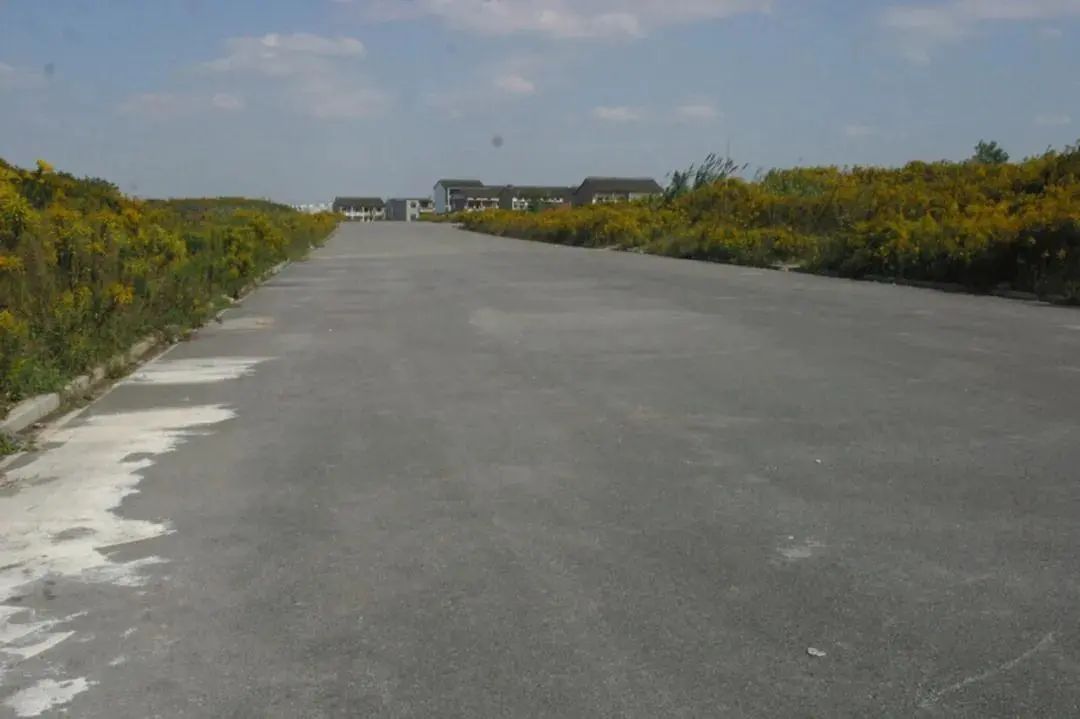 上海带牛字路名_上海东兰路属于哪个区_上海牛字路名大全