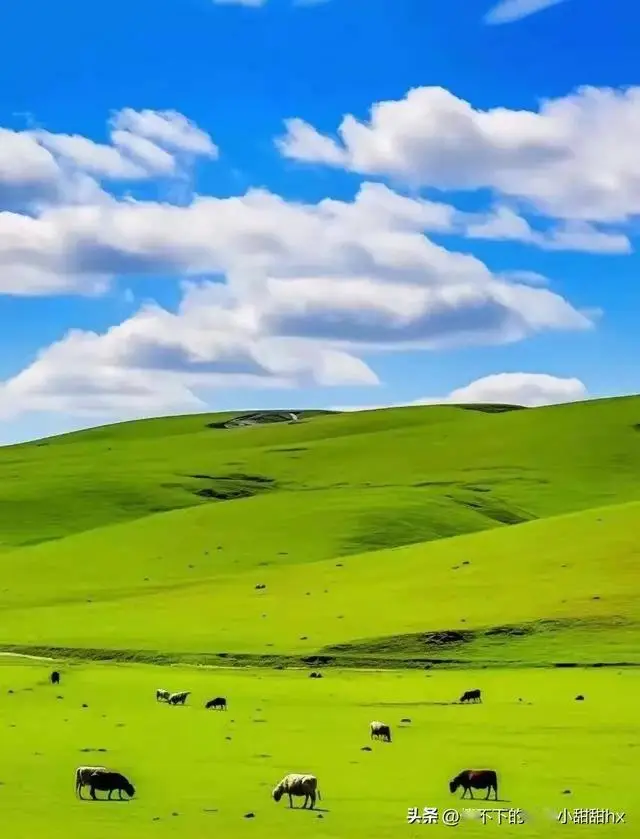 呼伦贝尔草原旅游攻略_那拉提草原最佳游玩路线_草原生态保护