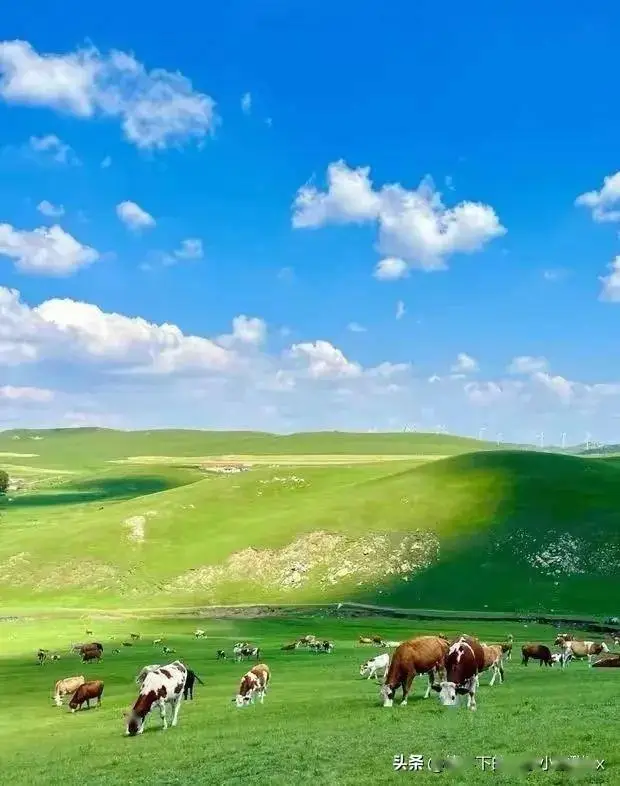 呼伦贝尔草原旅游攻略_草原生态保护_那拉提草原最佳游玩路线