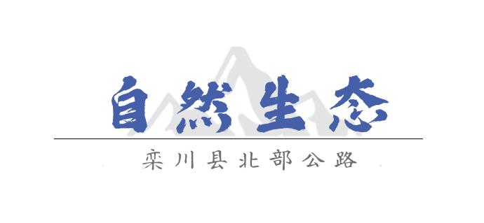 洛阳周边特色公路_栾川县旅游地图_栾川北部公路风景走廊