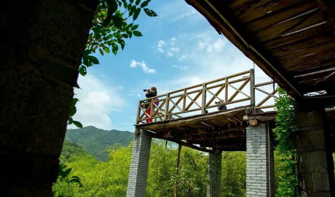栾川北部公路风景走廊_洛阳周边特色公路_栾川县旅游地图