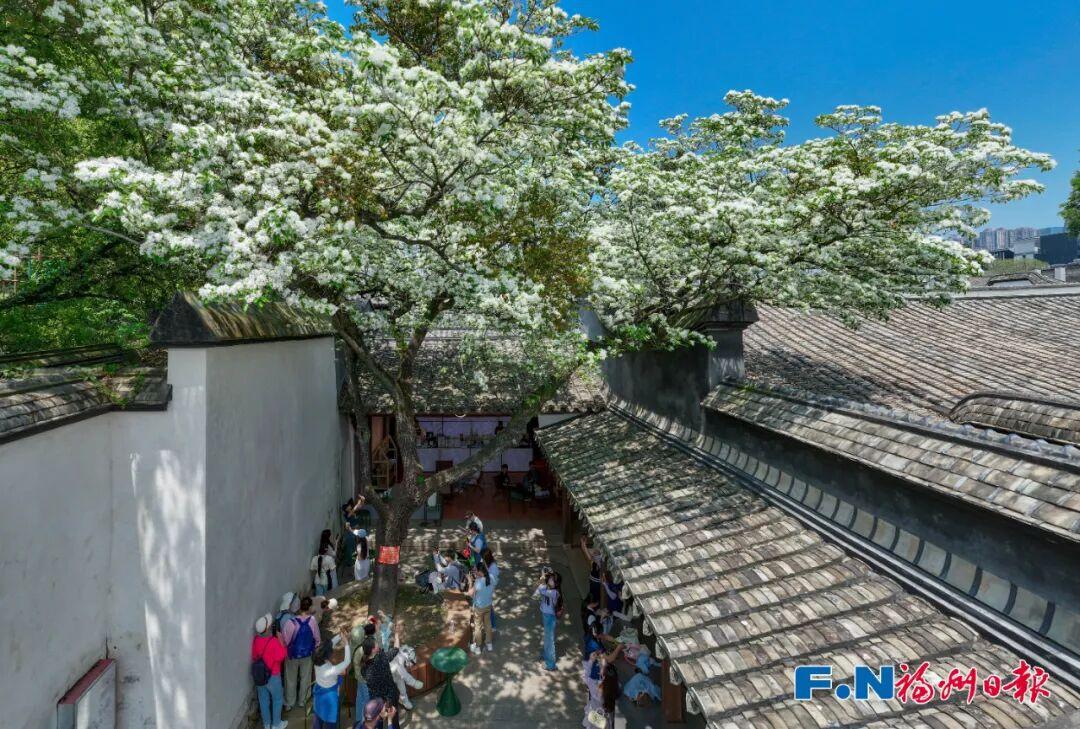 福州百年流苏 赋能闽都文化传播 文化融合转化_闽都文化述论