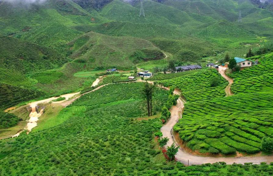 德庆旅游攻略_德庆盘龙峡生态旅游区_悦城龙母祖庙文化体验