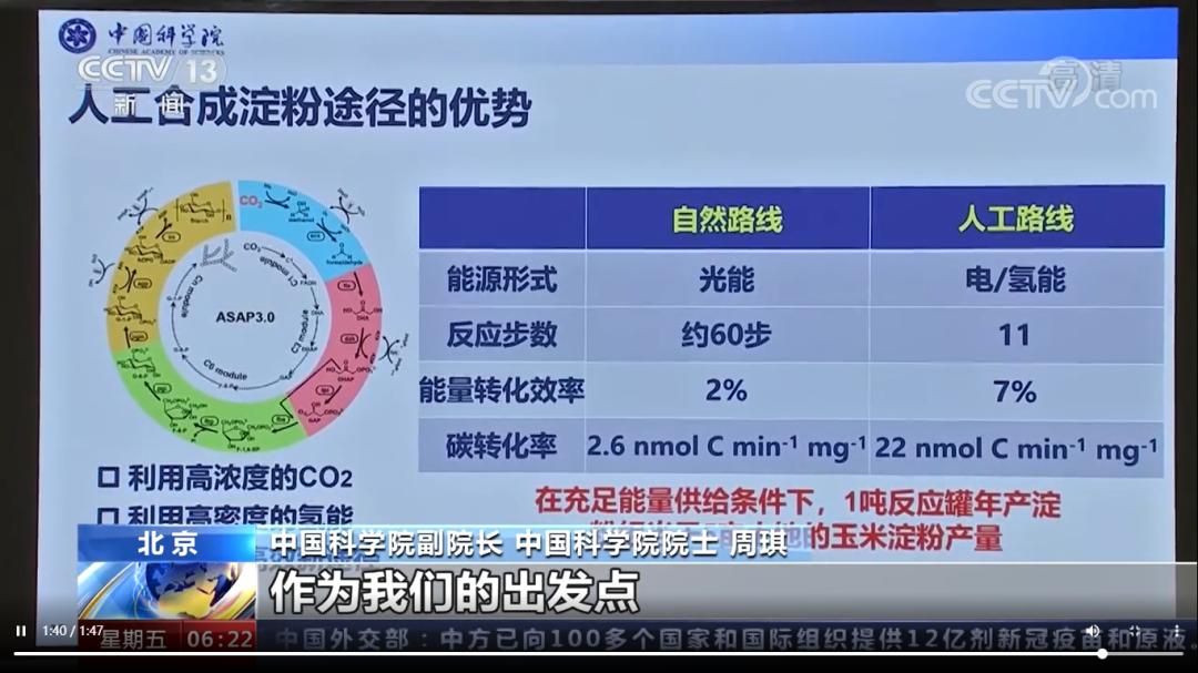 生物碳粉_人工合成淀粉_合成生物学碳中和